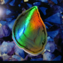 Load image into Gallery viewer, Sliced Agate Holographic Sticker
