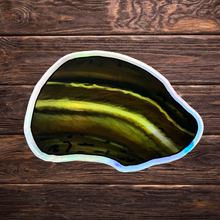 Load image into Gallery viewer, Tigers Eye Holographic Sticker
